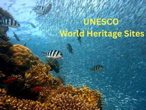 UNESCO World Heritage Sites