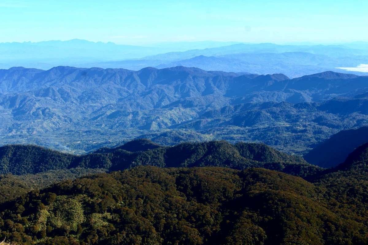 Mount Apo Rainforest